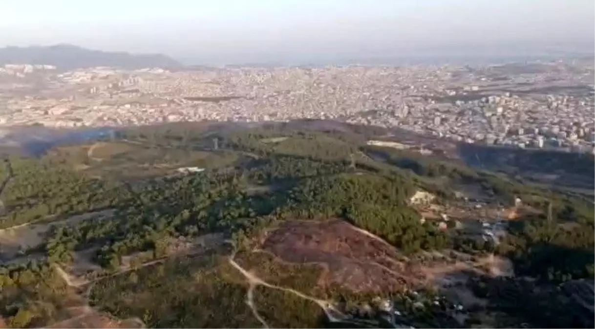 İzmir'de yangın kontrol altına alındı