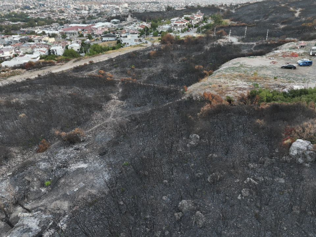 izmir de yanan aractan ormana sicrayan yangin 18941790 2807 m