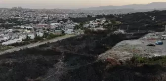İzmir'de minibüste çıkıp ormana sıçrayan yangın kontrol altına alındı
