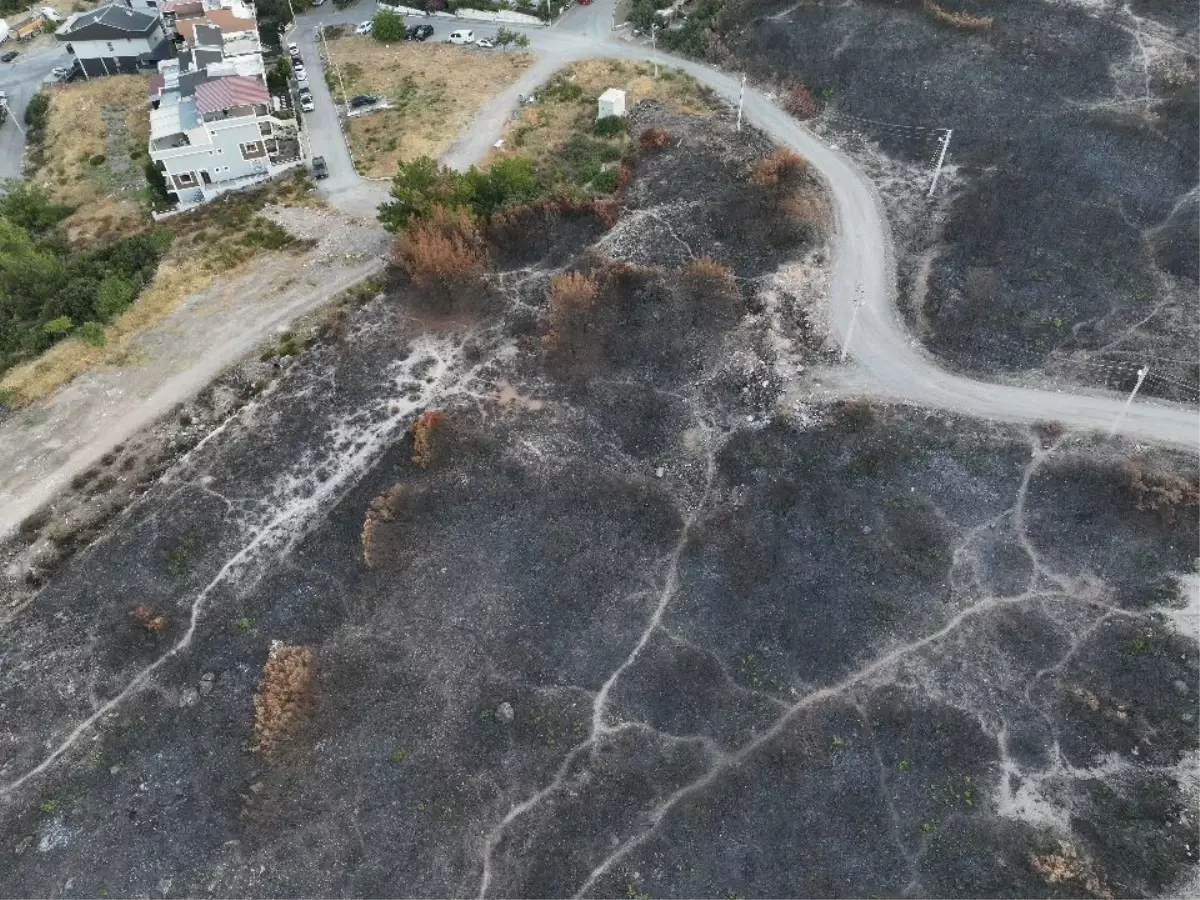İzmir'deki Minibüs Yangınına Havadan Müdahale Yeniden Başladı