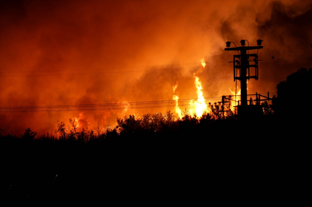 İzmir'in Buca ilçesinde orman yangını! Alevler hızla ilerliyor