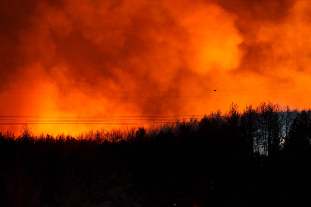 İzmir'in Buca ilçesinde orman yangını! Alevler hızla ilerliyor