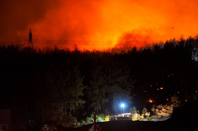 İzmir'in Buca ilçesinde orman yangını! Alevler hızla ilerliyor