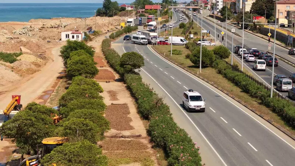 Trabzon'da Fındık Üreticileri Karadeniz Sahil Yolunu Kurutma Alanı Olarak Kullanıyor