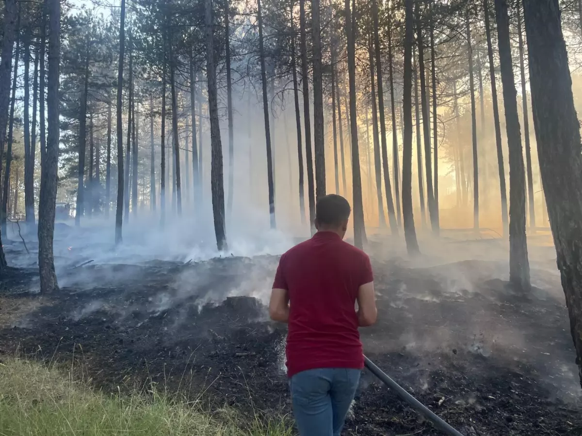 Kastamonu'da Orman Yangını Kontrol Altına Alındı