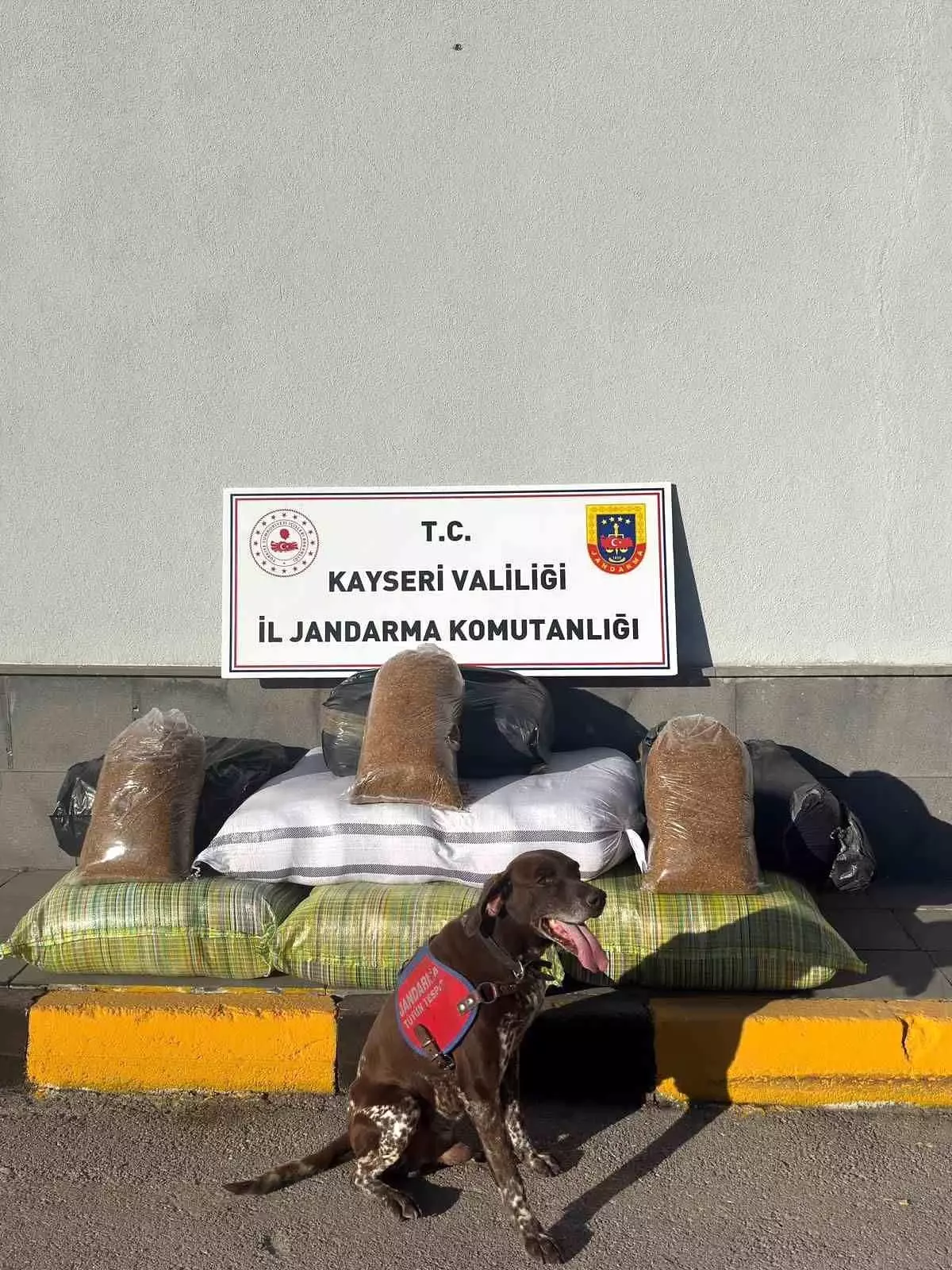 Kayseri’de 230 Kilogram Kaçak Tütün Ele Ge geçirildi
