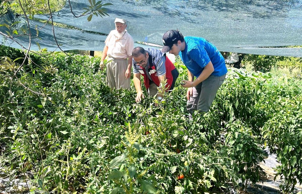 Kütahya'da Tarım Arazileri İçin Fideler Kontrol Edildi