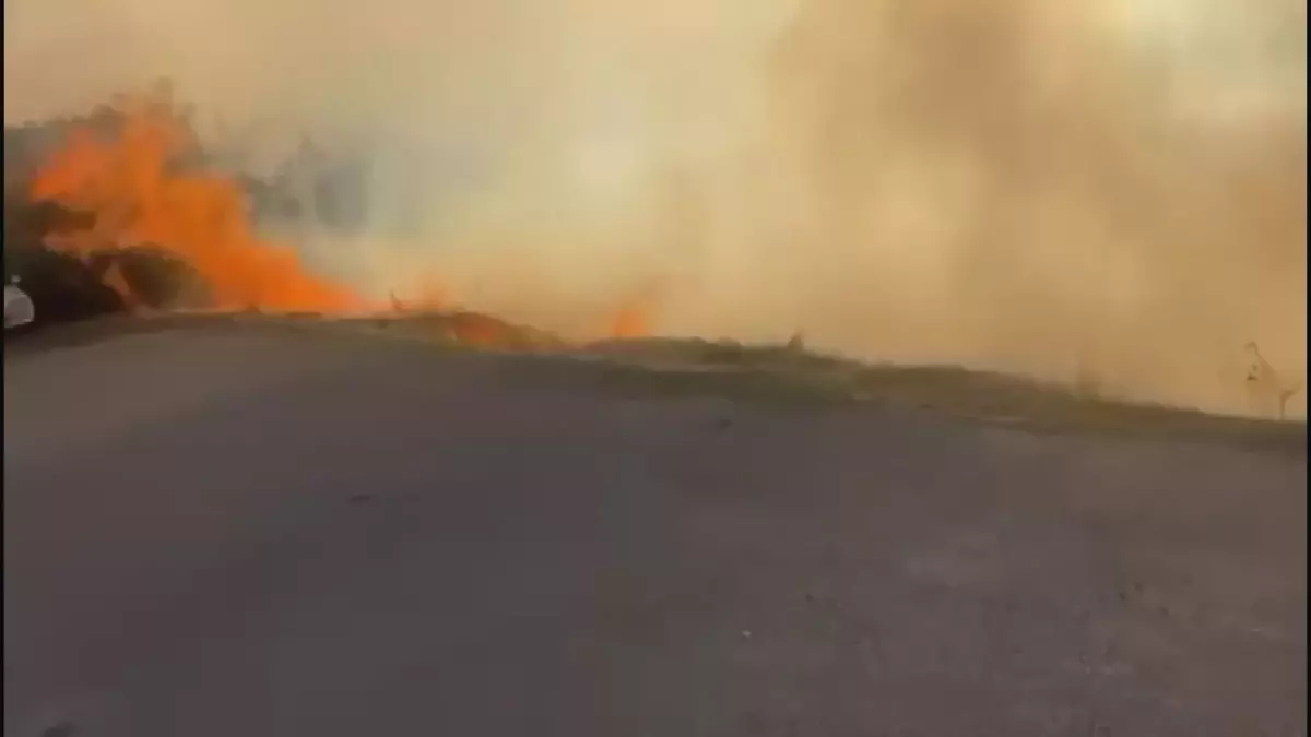 Havai Fişek Sebebiyle Yangın Çıkaran Şüpheli Tutuklandı