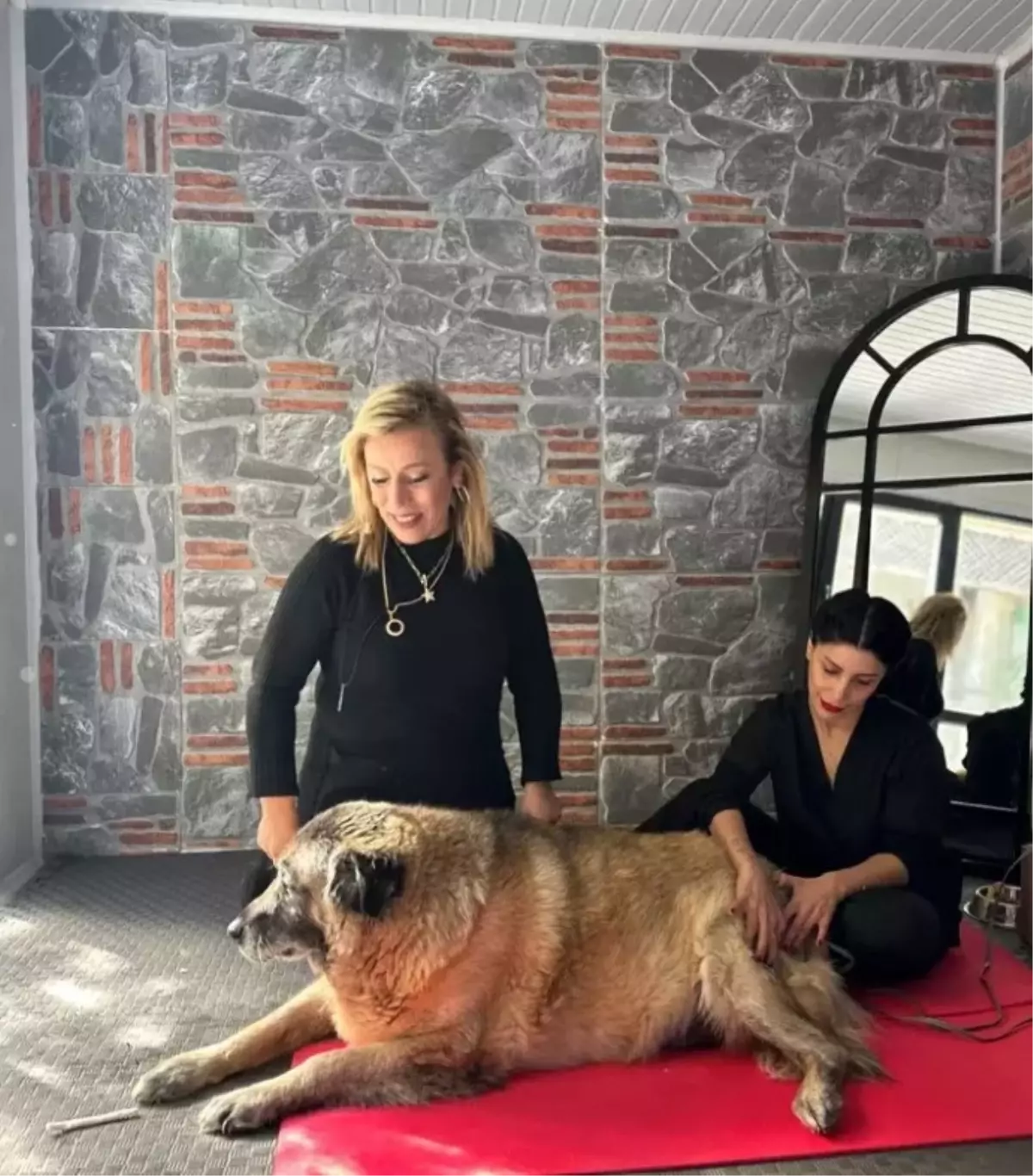 Duman, 6 Ayda 20 Kilo Vererek İdeal Kilosuna Ulaşdı