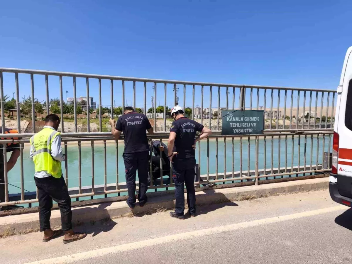 Şanlıurfa'da Sulama Kanalında İki Kimliği Belirsiz Ceset Bulundu