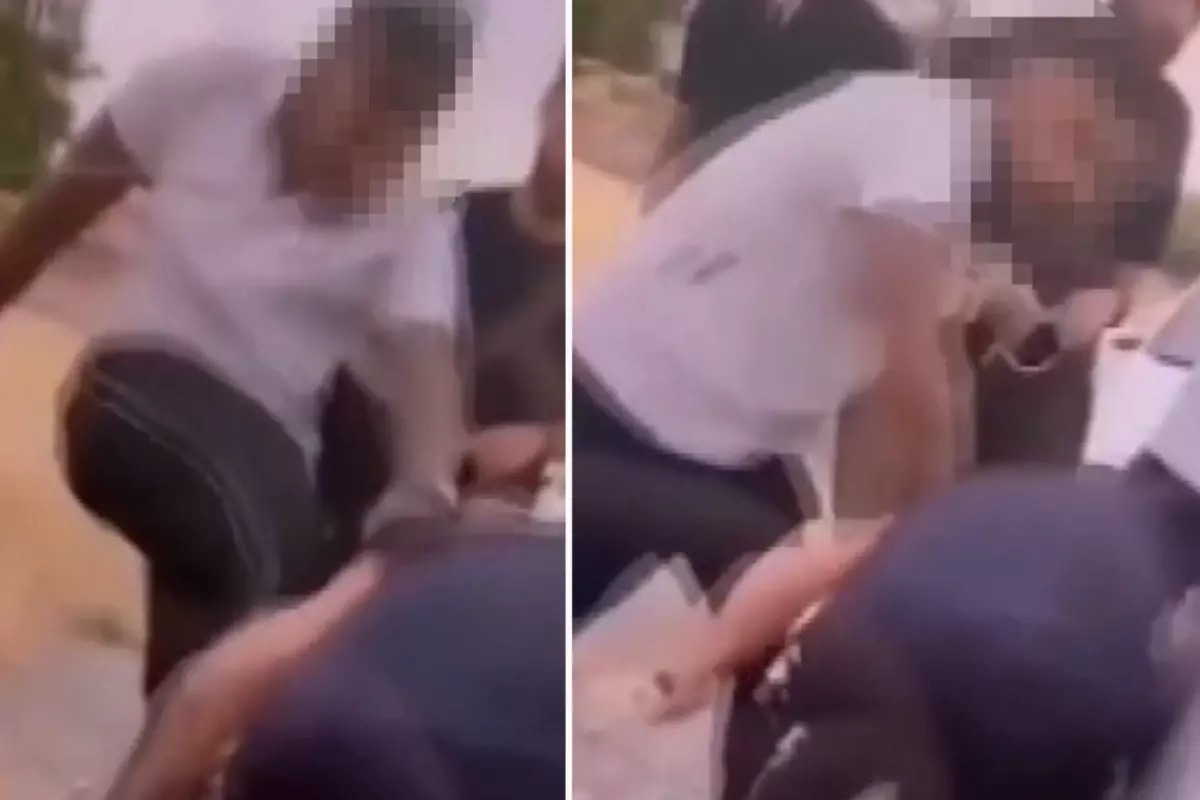 Boş arazide tekme tokat dövüp sosyal medyada paylaştılar