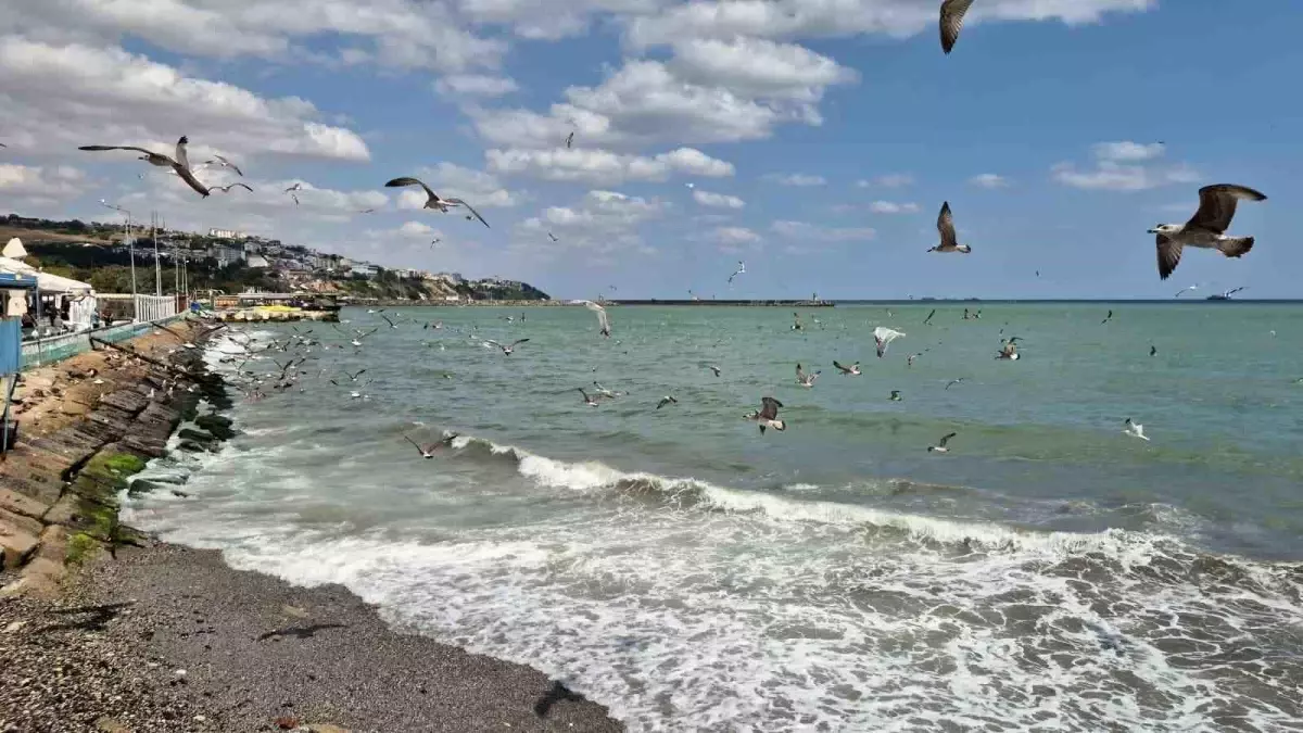 Marmara Denizi'nde Poyraz Deniz Trafiğini Aksattı