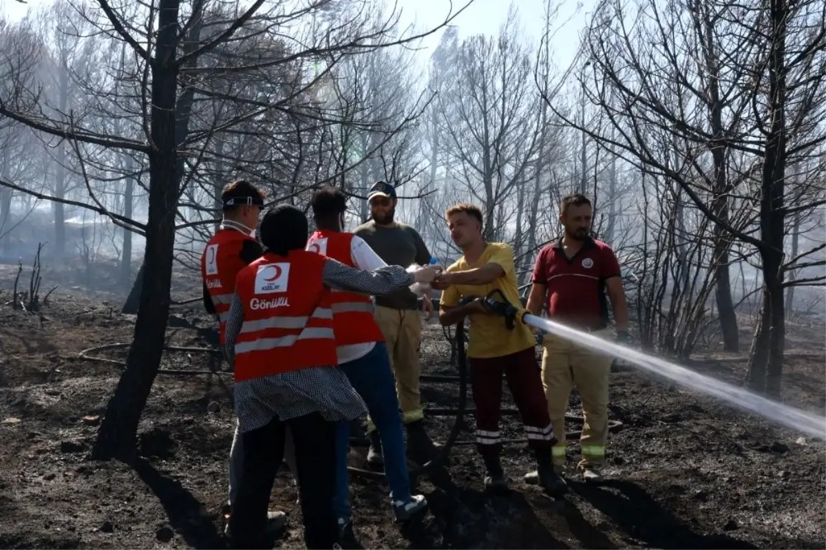 Türk Kızılay, Orman Yangınlarına 127 Müdahalede Bulundu