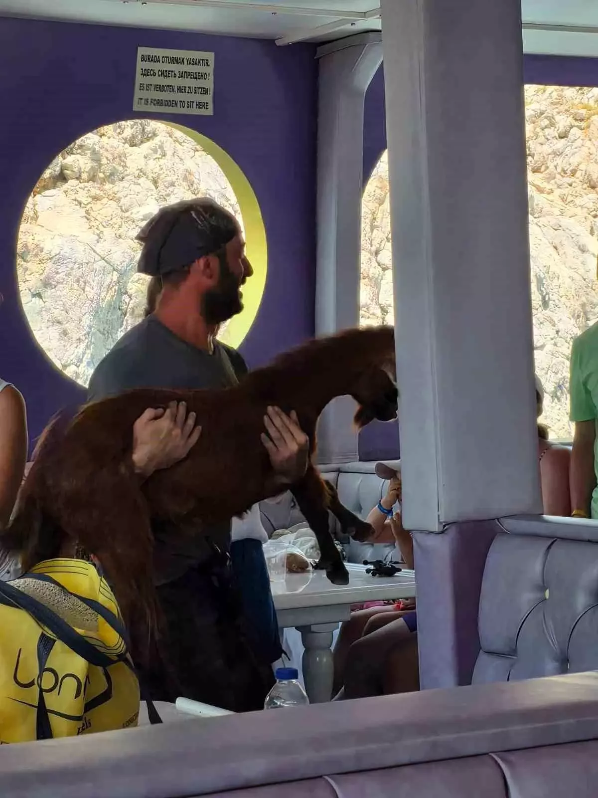 Alanya'da Mahsur Kalan Dağ Keçisi Kurtarıldı
