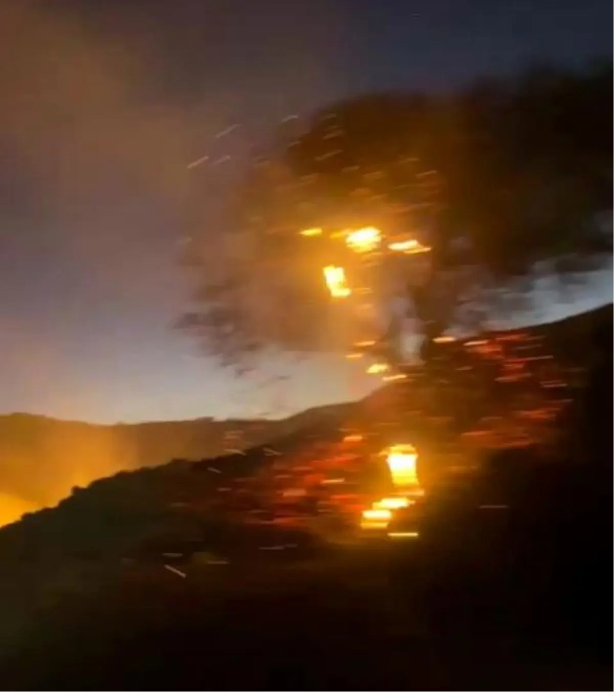 Adıyaman'da Anız Yangını Meyve Bahçelerine Sıçradı