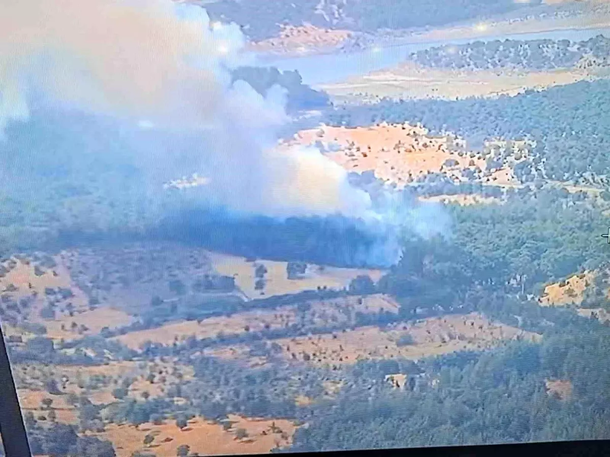 Çanakkale Ayvacık'ta Orman Yangınına Hızlı Müdahale