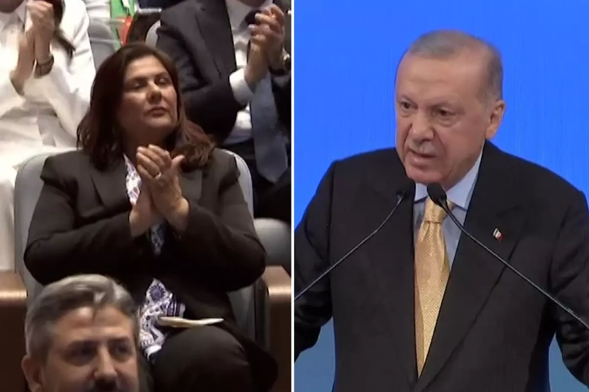 Cumhurbaşkanı Erdoğan'dan Özlem Çerçioğlu'na yönelik eleştirilere sert tepki