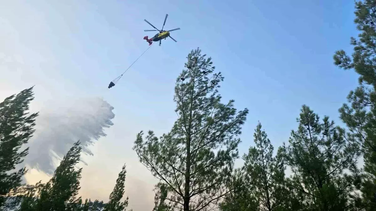 Denizli'de Orman Yangını Kontrol Altına Alındı