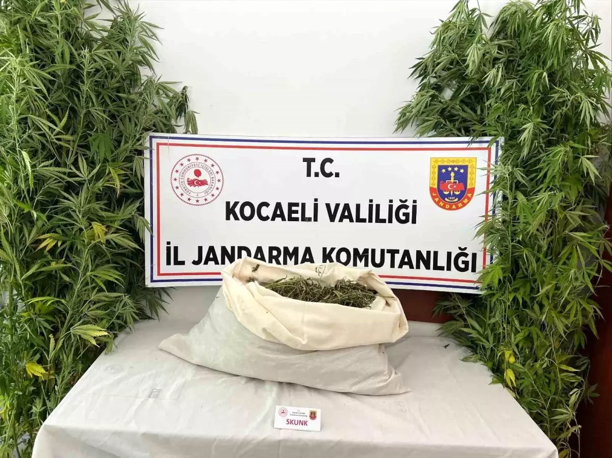 Kocaeli'de Uyuşturucu Operasyonu: 3 Kilo 960 Gram Uyuşturucu Ele Geçirildi