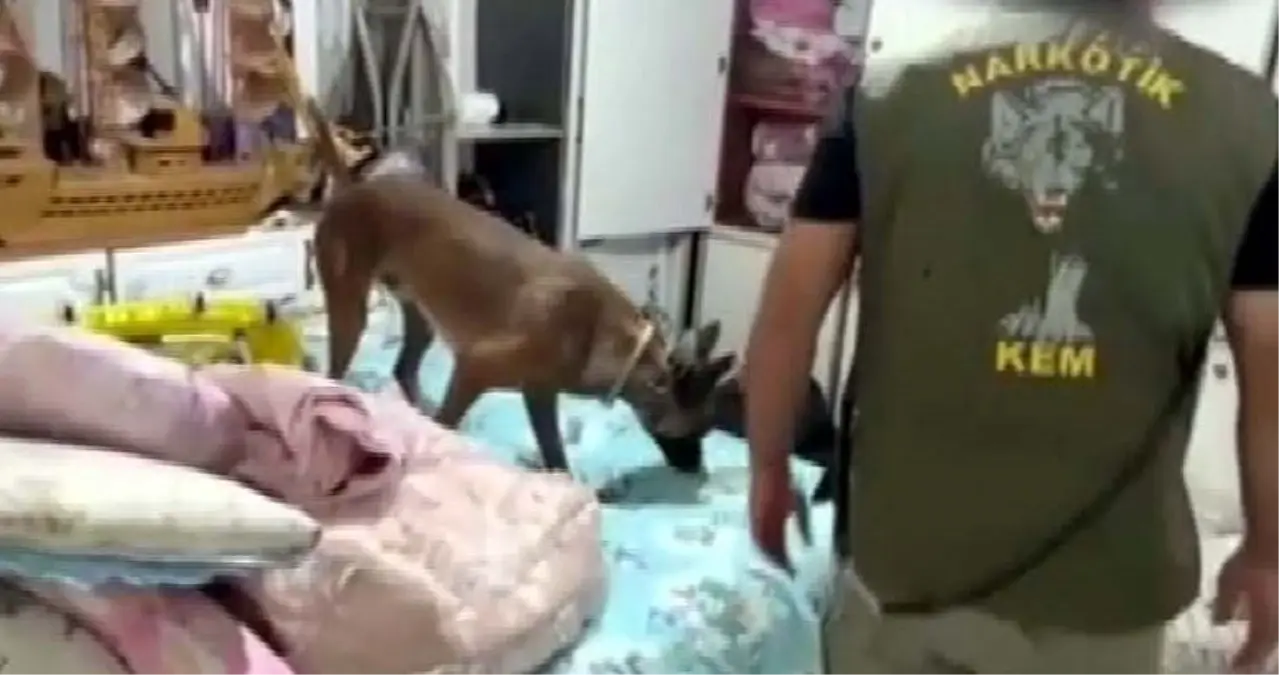 Gaziantep'te Uyuşturucu Operasyonu: 7 Kilo Skunk Ele Geçirildi