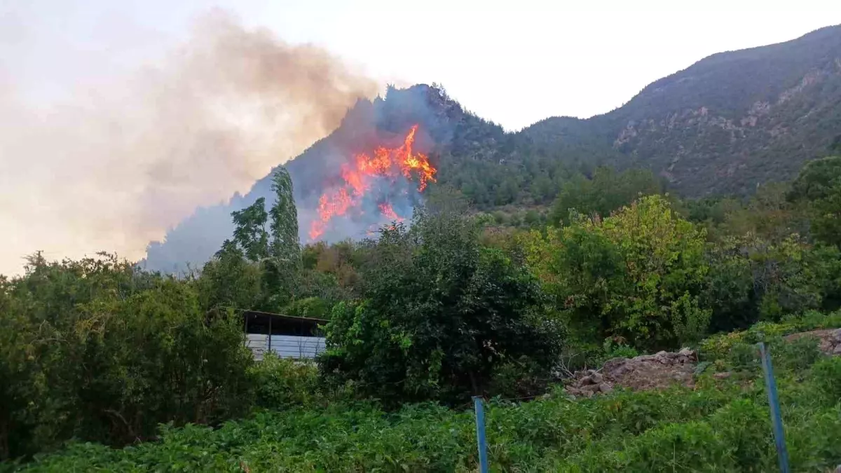 Hatay'da Ormanlık Alanda Yangın