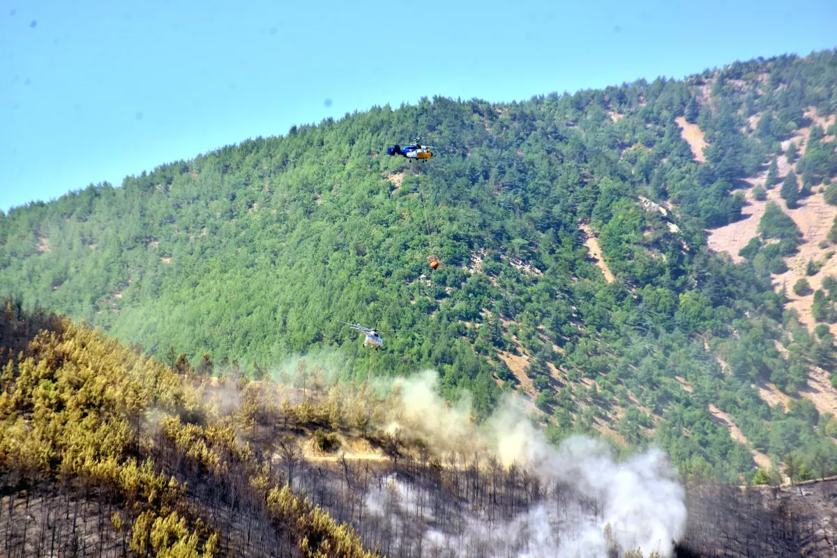 Hatay'da Orman Yangını: 1.115 Kişi Tahliye Edildi