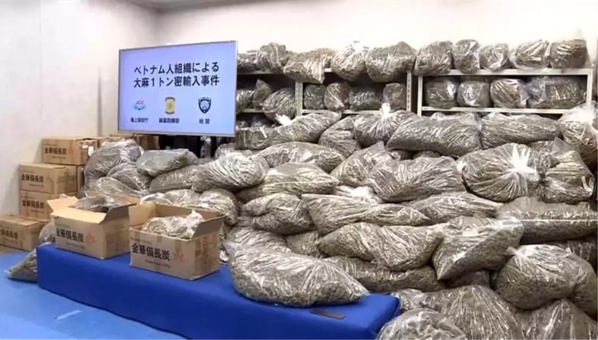 Japonya'da Rekor Uyuşturucu Operasyonu: 1.046 Ton Esrar Ele Geçirildi