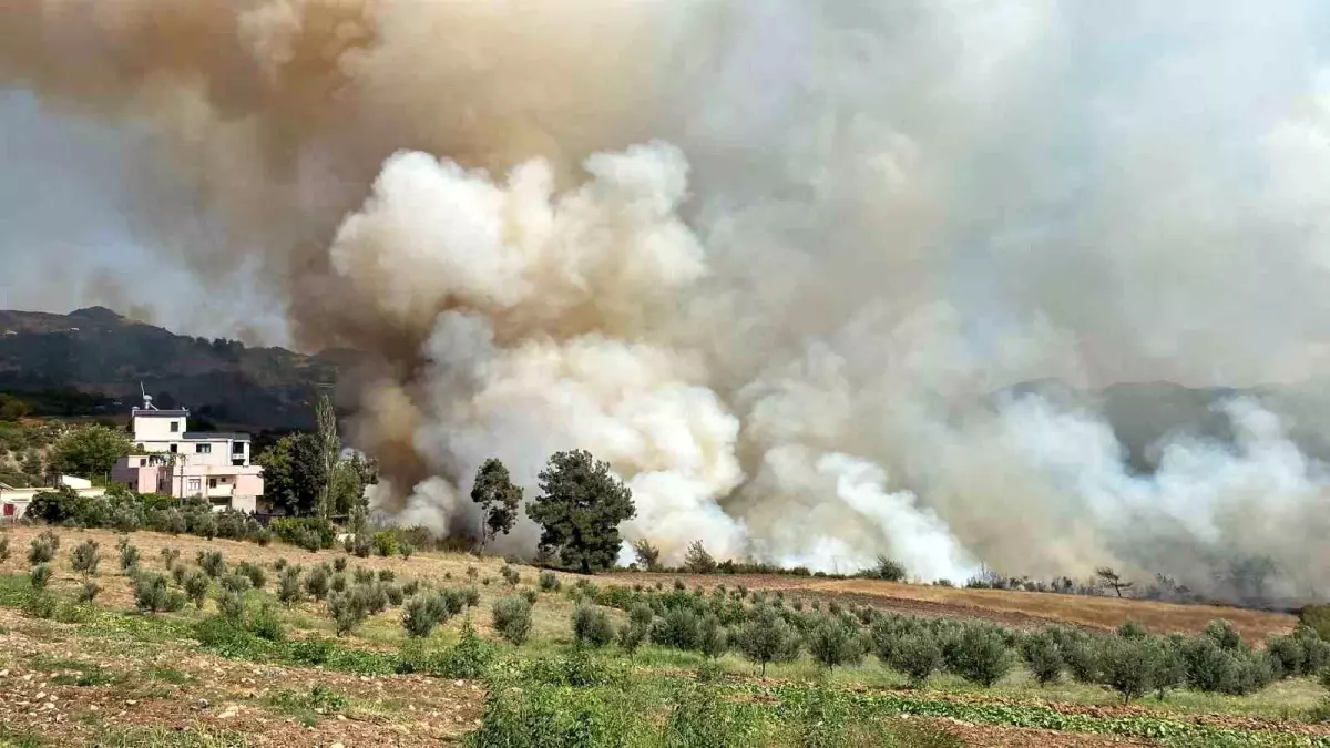 Osmaniye'de Orman Yangınına Müdahale Başladı