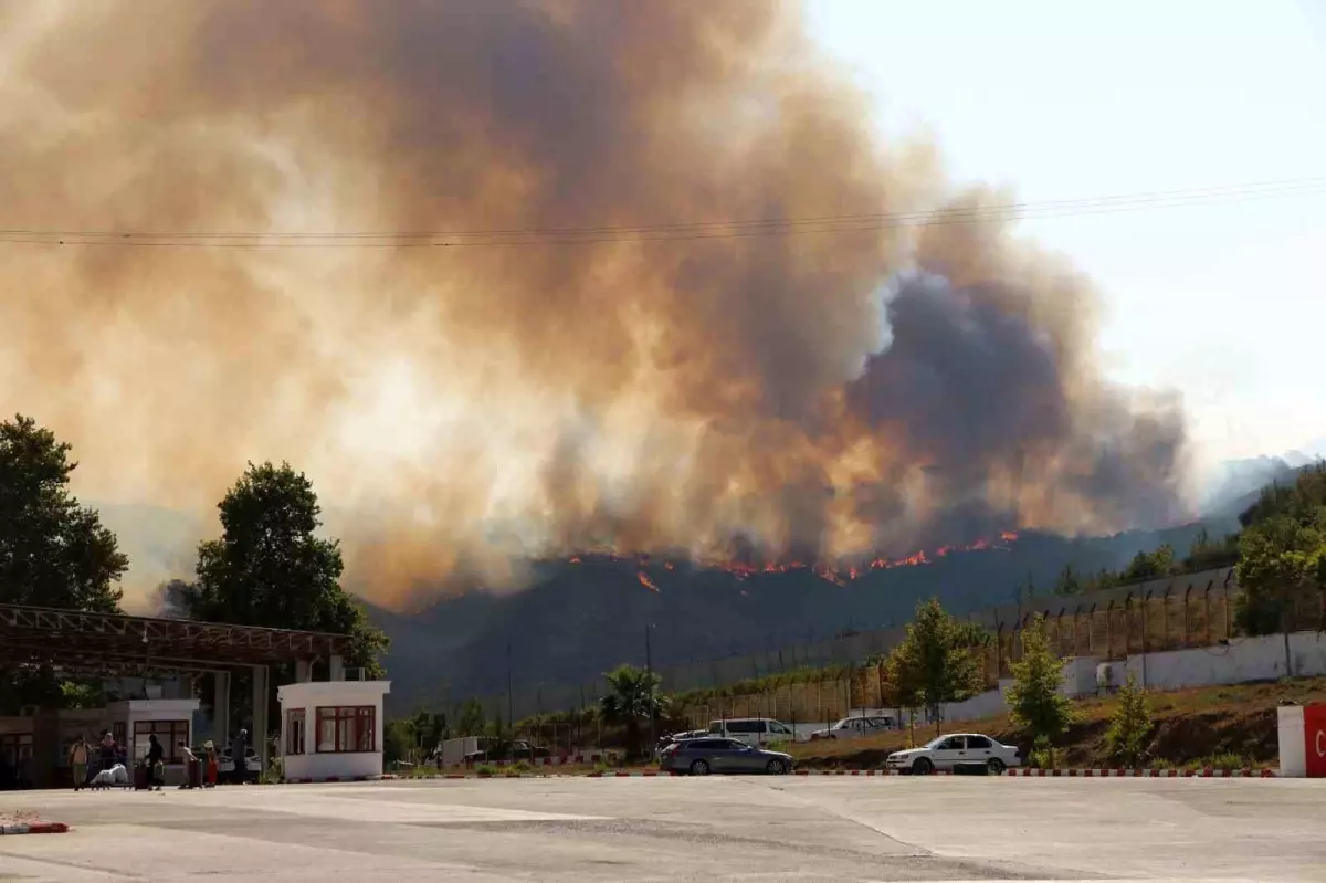 Suriye'nin Kesep Bölgesindeki Yangın Hatay'a Sıçradı