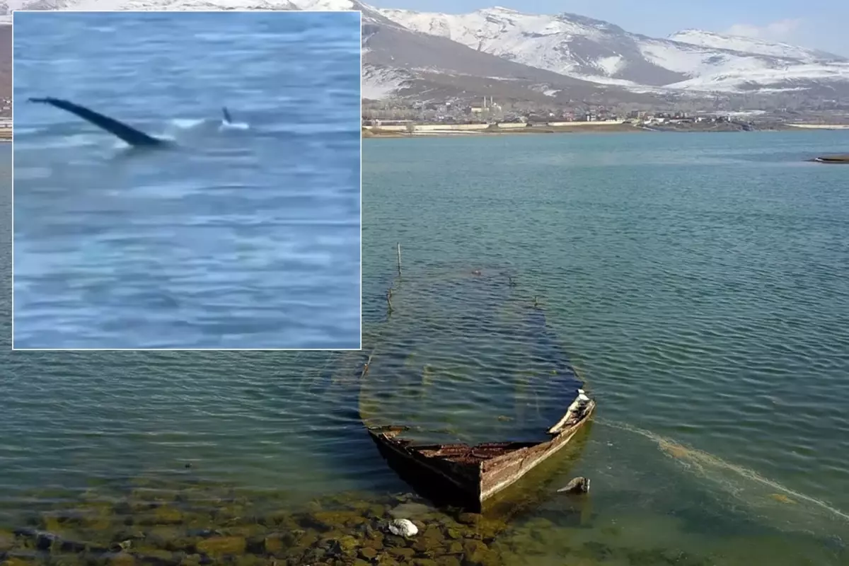'Van Gölü canavarı' tartışmalarını alevlendirecek yeni görüntü
