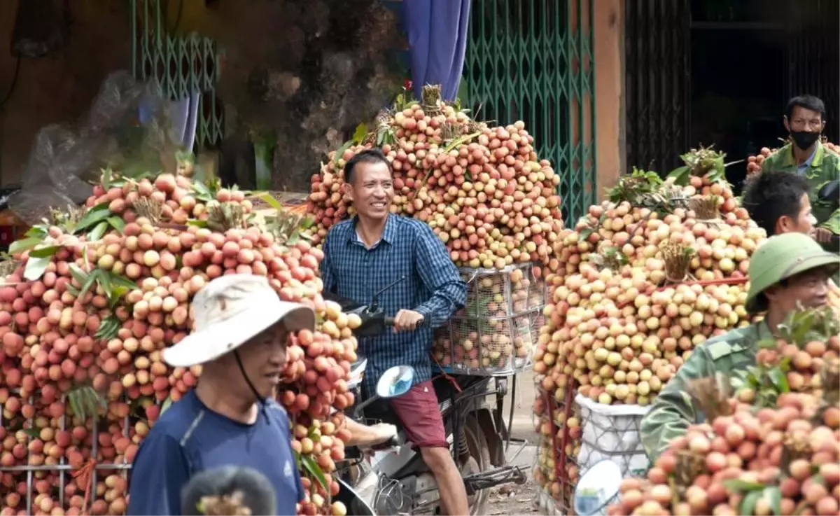 Vietnam Başbakanı'ndan ABD ile Gümrük Vergisi Müzakereleri Talimatı