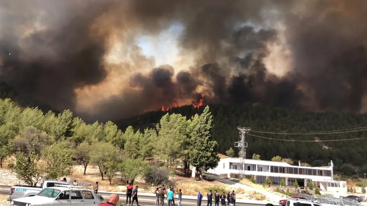 Adıyaman'da Orman Yangınına Hızlı Müdahale