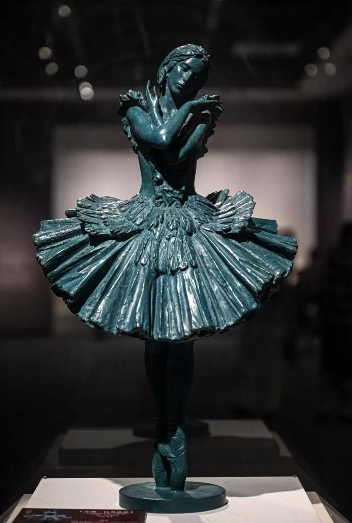 Hainan Müzesi'nde Rus Sanatçıların Sergisi Açıldı