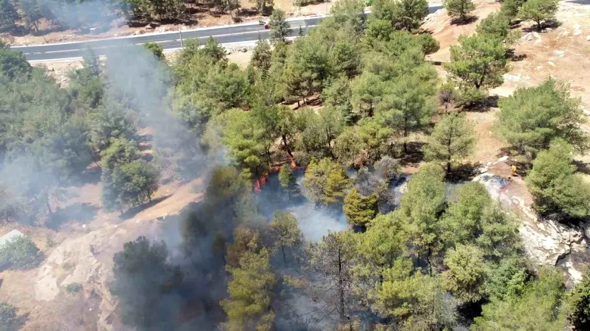 Adıyaman'da Anız Yangını Ormanlık Alana Sıçradı