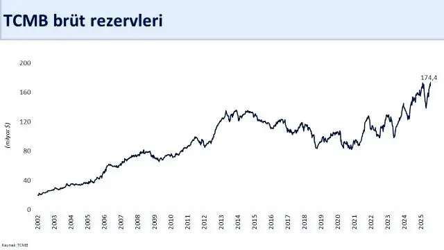 bakan simsek brut rezervler 174 4 milyar dola 4 18948999 o