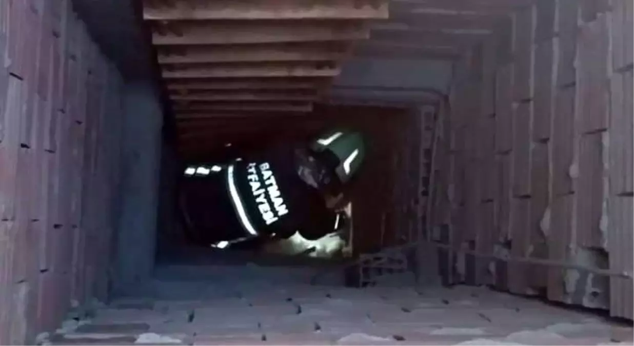 Batman'da Mahsur Kalan Kedi İtfaiye Ekipleri Tarafından Kurtarıldı