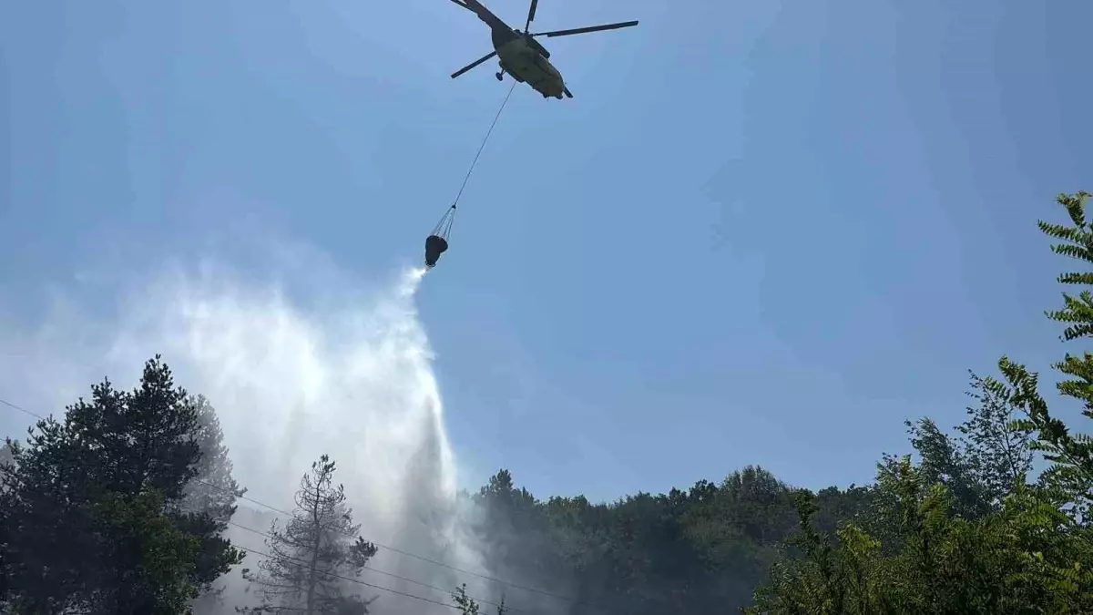 Bolu'da Orman Yangını Kontrol Altına Alındı