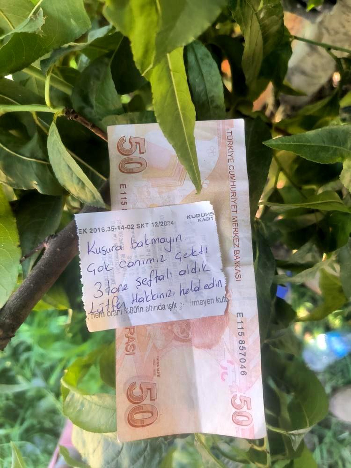 Bursa'da Şeftali Alan Kişiden Duygulandıran Hareket