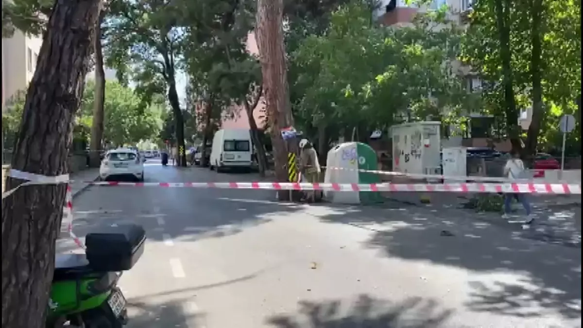 Kadıköy'de Şiddetli Rüzgar Ağaç Dallarını Tehlikeye Soktu