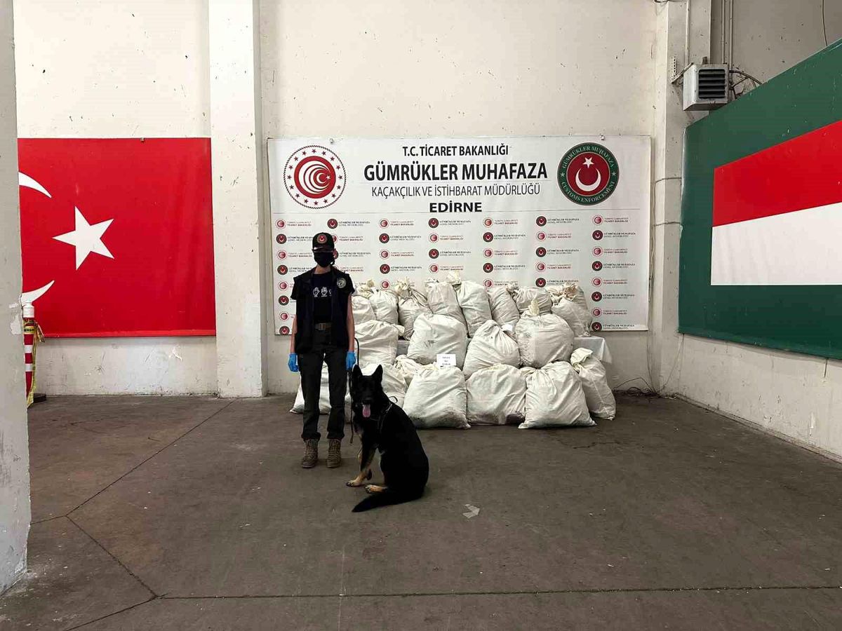 Edirne Kapıkule'de 245 Kilogram Esrar Ele Geçirildi