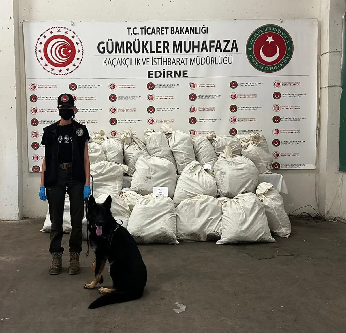 Kapıkule Sınır Kapısı'nda 245 Kilo Esrar Ele Geçirildi