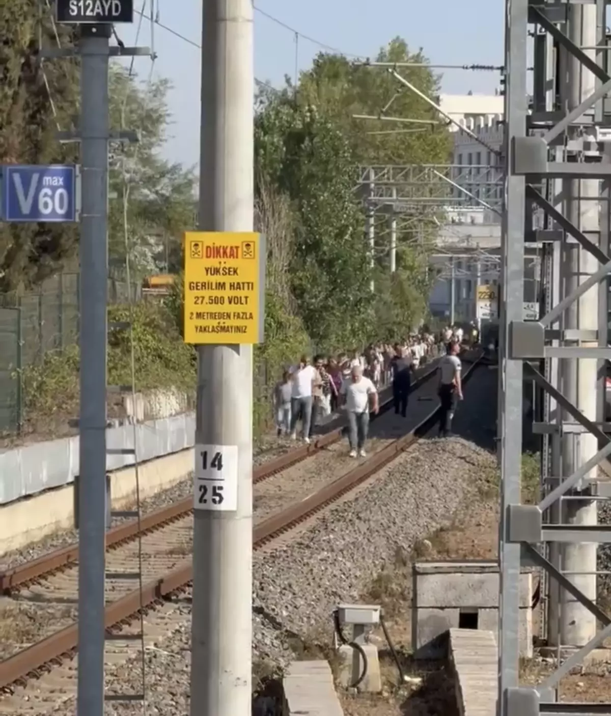 Marmaray'da Şiddetli Rüzgar Sebebiyle Ağaç Devrildi, Seferler Durdu