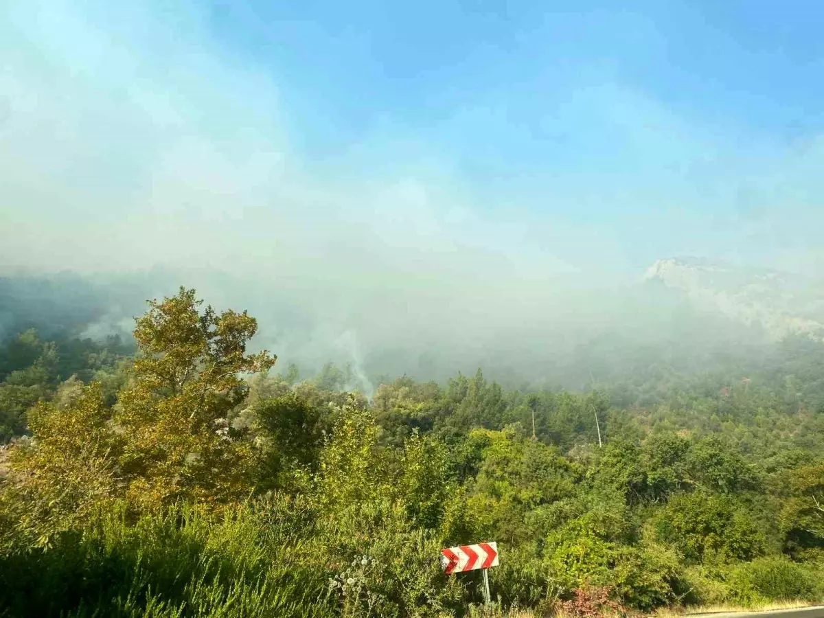 Mersin Anamur'da Orman Yangını Devam Ediyor