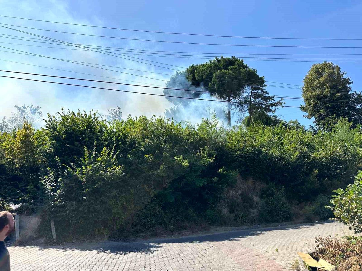 Zonguldak'ta Orman Yangını Kısa Sürede Kontrol Altına Alındı