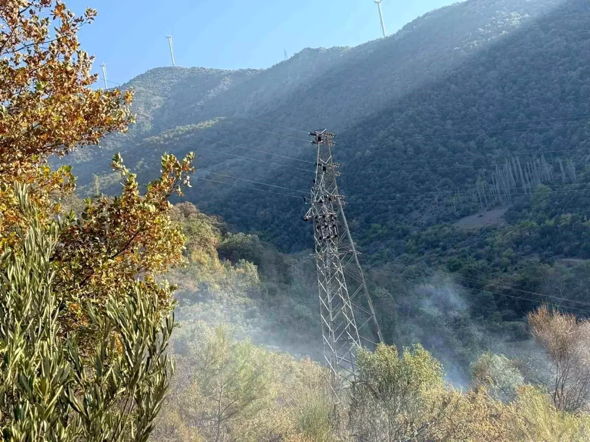 Osmaniye'de Orman Yangını Büyümeden Söndürüldü