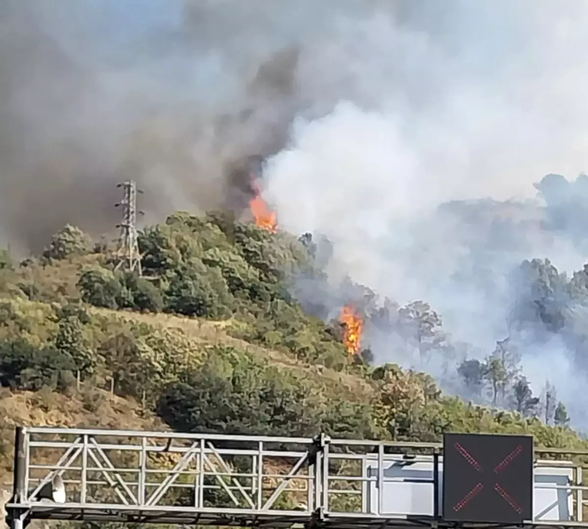 Osmaniye'nin Bahçe İlçesinde Orman Yangını