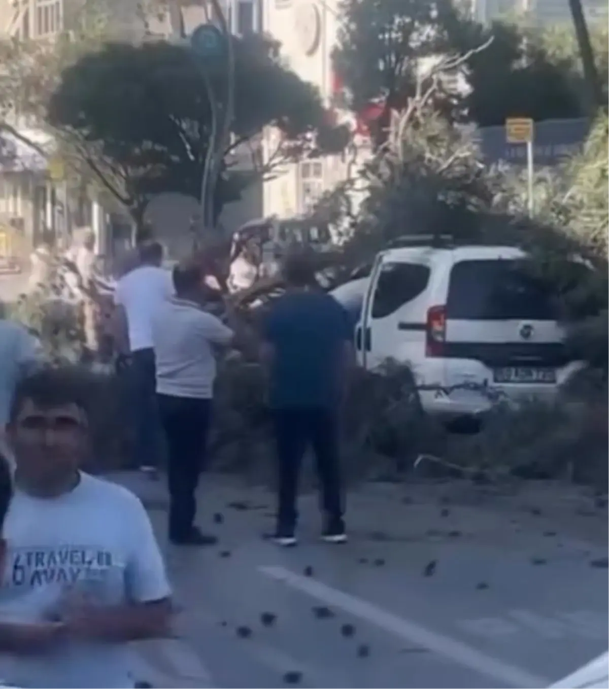 Şiddetli Rüzgar Ağaç Devrip Araç Üzerine Düştü