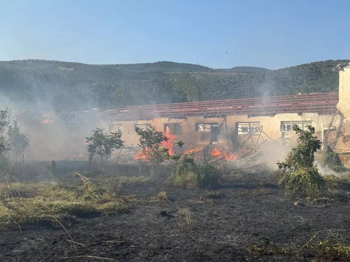Erdek'te Şiddetli Rüzgar Yangın Çıkardı