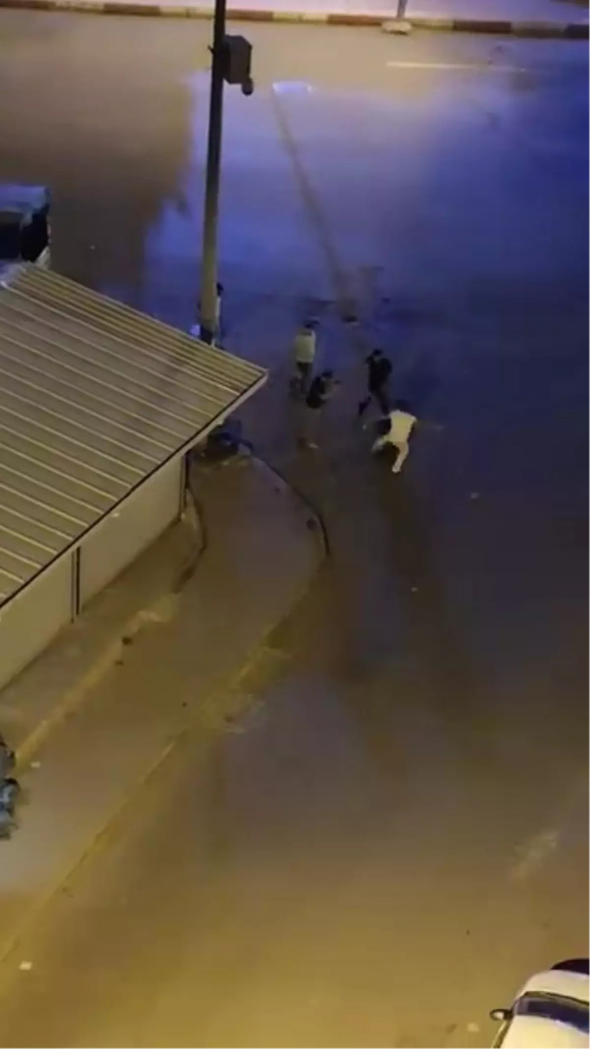 Siirt'te Kavga: 1 Yaralı