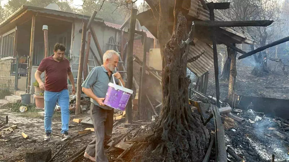 Kocaeli'de Orman Yangınında 70 Yaşındaki Adam Alevlere Karşı Mücadele Etti